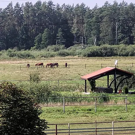 Cichosza アパート *